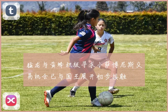 猛龙与黄蜂积极寻求小萨博尼斯交易机会已与国王展开初步接触